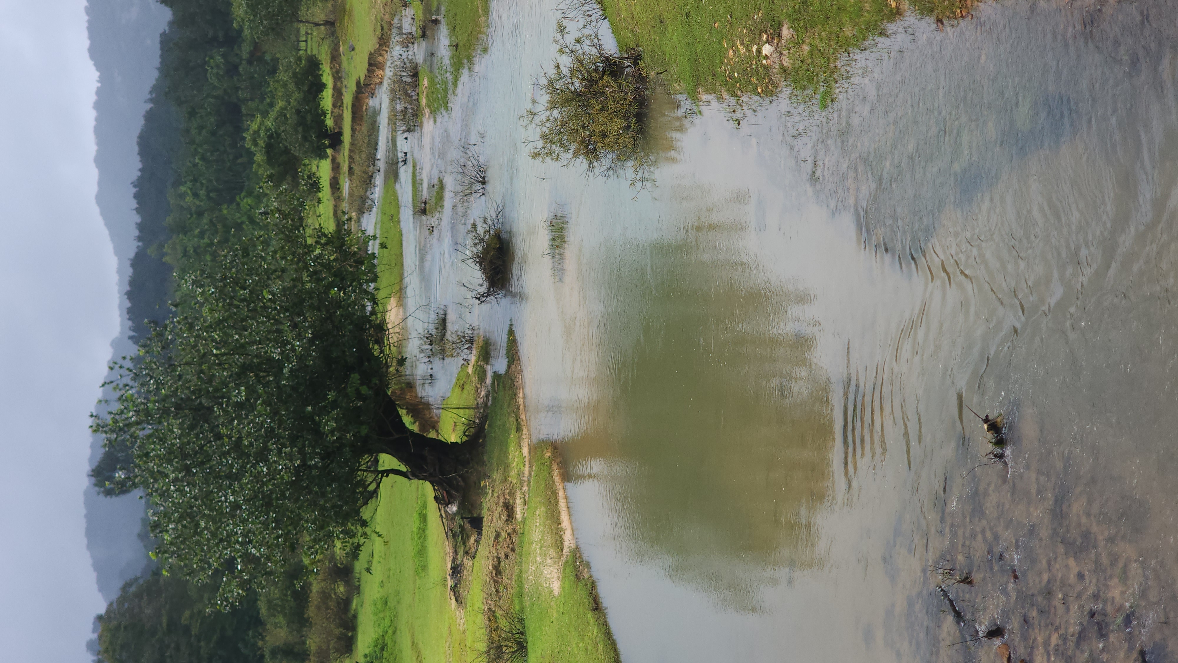 Stream view