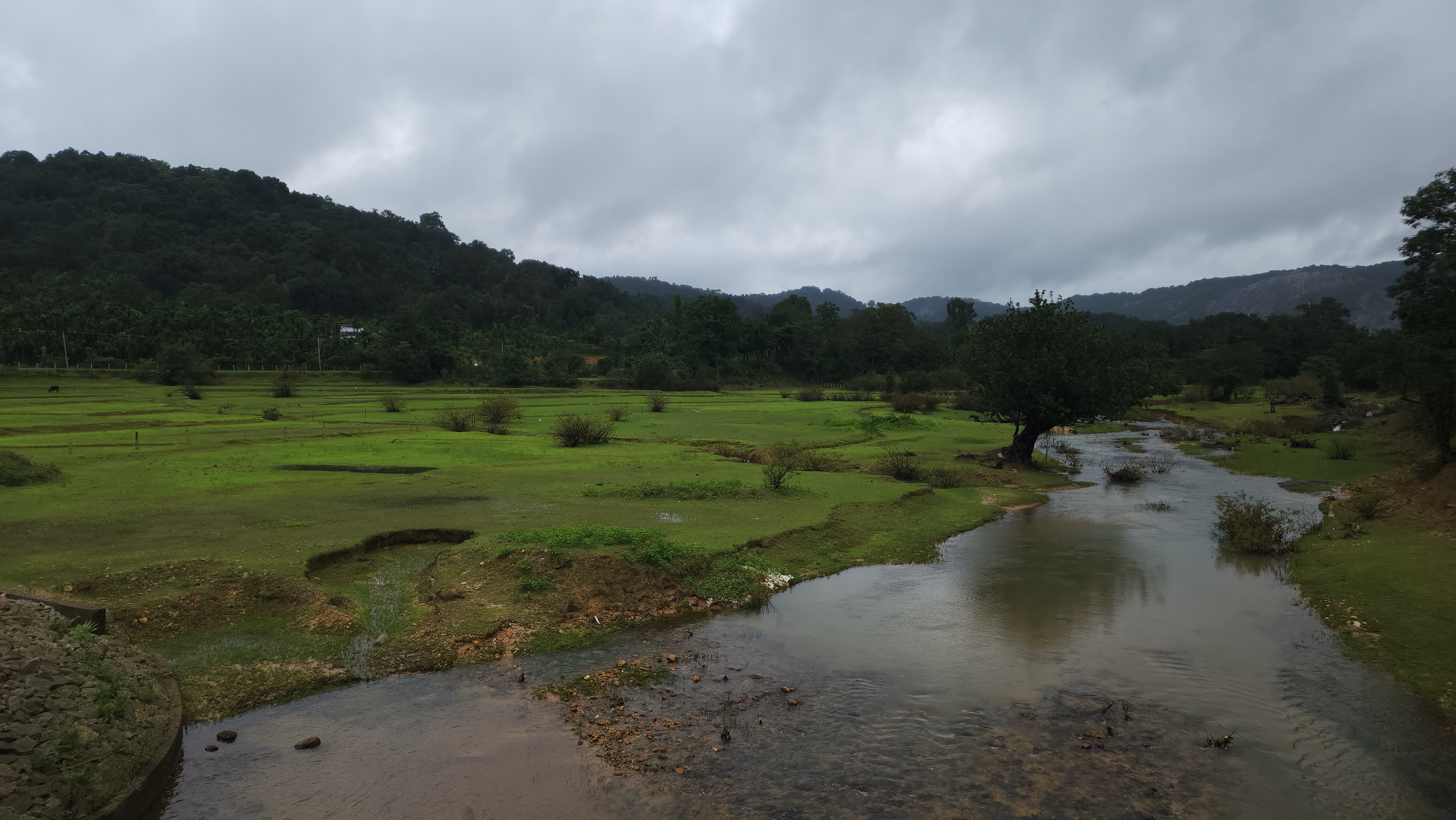 Landscape