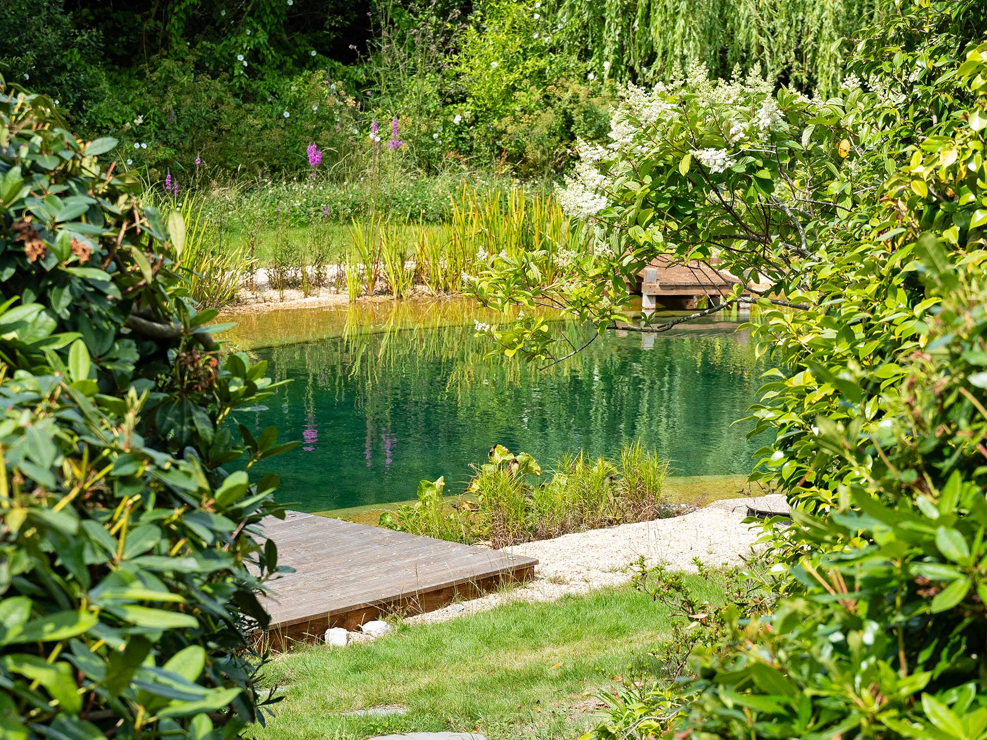 Natural pool