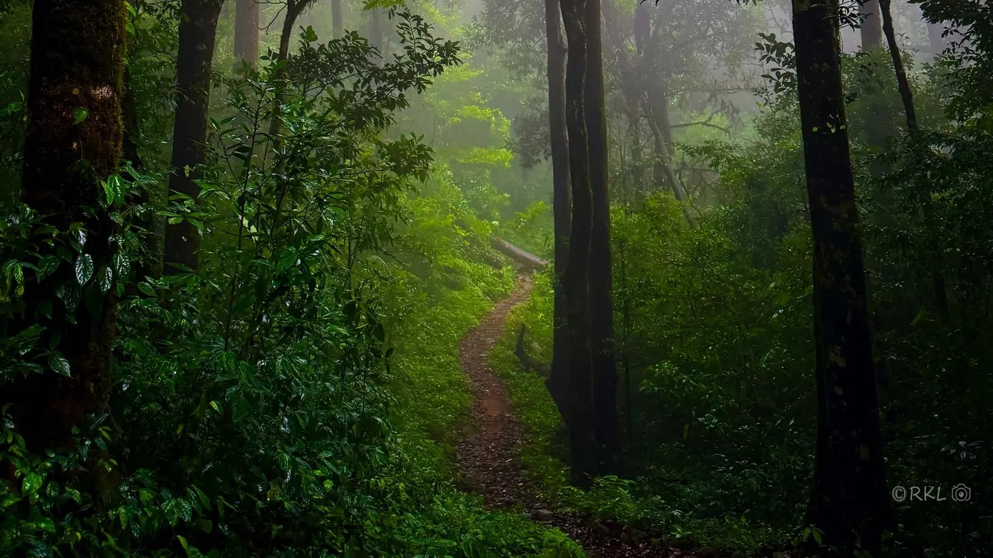 Trek and walk